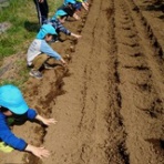 がんばるとっこちゃん