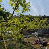 『ばぁと過ごす時間』の画像