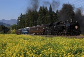 『2026/5/2運転 東武鉄道SL大樹6号』の画像