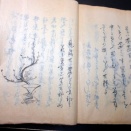 和本明治33年（1900）花道写本「遠州流秘伝書切紙」上中下合1冊/松島斎小一学/絵入古書古文書/手書き