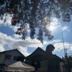 考える整体師　大井町カイロプラクティック