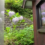 ふら～っとママのときどき通信