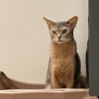 オチッコをするわか坊を、隠し撮り