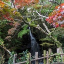 万葉公園 （神奈川県足柄下郡）