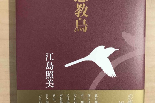 新現代俳句コレクション/北溟社/北溟社（単行本） 6a0120a696c718970c01a511be821c