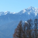 新米田舎暮らし　「お披露目屋」《異質な今回の選挙》