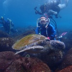 新宿地元密着、少人数制ダイビングスクールで、初めて未経験者向けダイビングライセンスを取得
