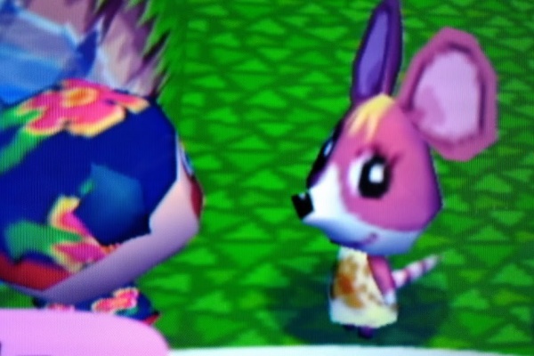 ふらふら滞在記 ~あつ森・とび森ブログ~ - ゼリー