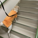 ホームステーション蓮根のblog