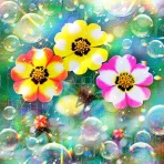 戒's gallery (GalleryGai)