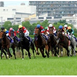 【悲報】競馬、来年から最終開催１２月２８日固定へ！「有馬記念」も平日開催