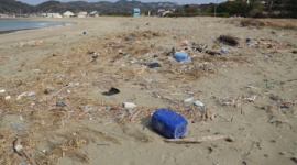 韓国ノリに発がん性の疑い…韓国から証拠の危険物が海岸に漂着、撤去に巨額税金