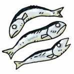 店主　中村のあれやこれや！