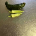 今朝採れたもの