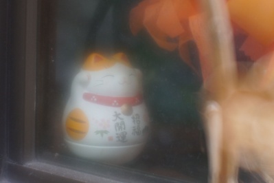 KIYOHARA SOFT 50mm f4.5 VK 50R(M42) : 会計士によるバリューアップ