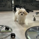 シャンプーおわり！