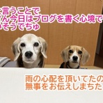 ガオだらけな日々　