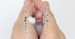 ジルたん、どう思う？