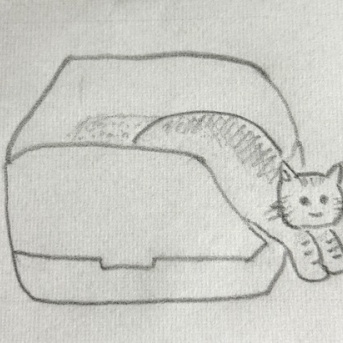 マロちゃんの謎のトイレ姿