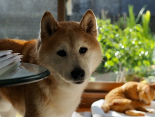 今は晴れているんだけどなぁ…