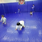 ブルテリア格闘技ジムｘボンサイ柔術浜松ブログ