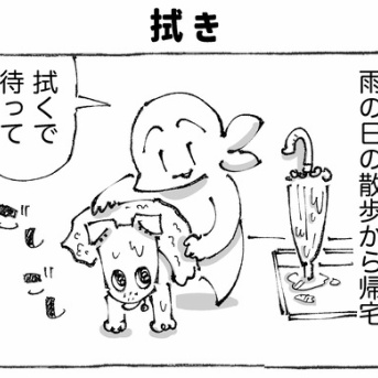 うちの犬のルカ。【３６】