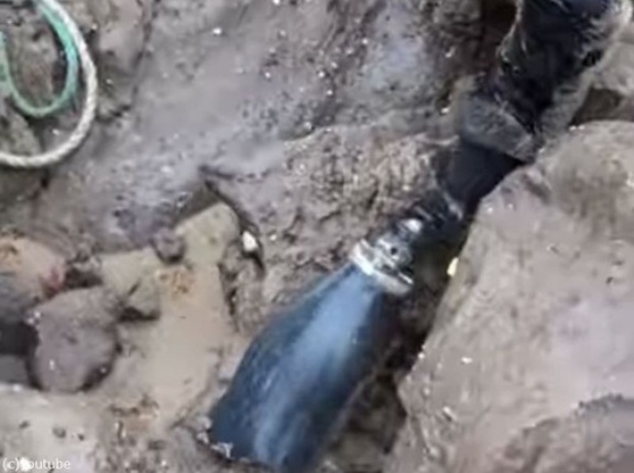 義足が海に流されて10か月…「まさか戻ってくるとは」持ち主女性が感激