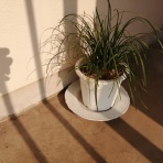 37平米に3人暮らし