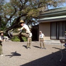 【記録】上進式（4/12）