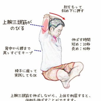 上腕三頭筋を伸ばし、肩と姿勢を整えよ