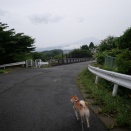お盆休暇も半ば