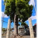 『天神社』丹羽郡大口町替地
