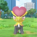 ジャラコのコミュニティデイ