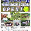 2025年のブルーベリー園の開園予定日決定！