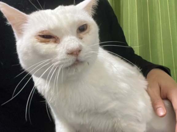 命を見送る意味　20260419