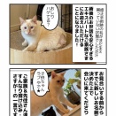 しっぽを食べられた猫 幸せに！