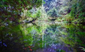 "神聖な雰囲気"な能登半島の池