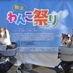 メロディ＆ミニーの写真館