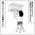 コウノトリが二羽飛んできた