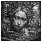 Information of events at Zaroff