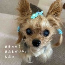 可愛くて
