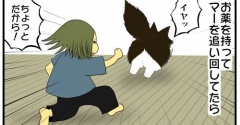 【猫との暮らし】愛猫に手を嚙まれる時