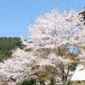   阿波箸蔵寺NO５  幕末の「箸蔵寺旧記聞伝覚書」を読む