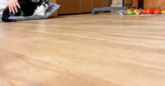 どんどん