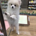 生体ブログ
