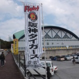 『阪神の安芸キャンプの写真貼ってく』の画像