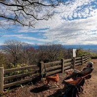 呉羽山ハイキング