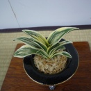 2024年　全国大会から（45）