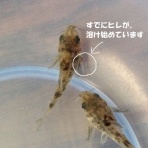 賢空の仏教三回転半