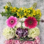 hasegawairohoのおはりこ日記